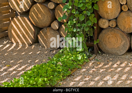 Parte di narrazioni di natura giardino disegnato da Hugo Bugg e Maren Hallenga come presentato in futuro giardini di St Albans nel 2009 Foto Stock