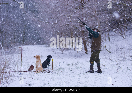 La neve cade su un inverno di Scena Foto Stock