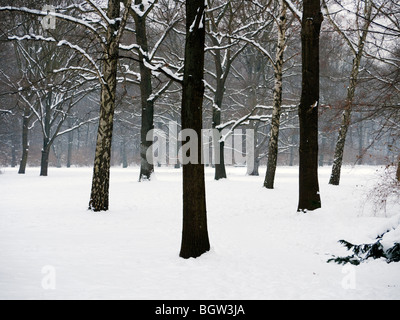 Coperta di neve di parco in parco Tiergarten di Berlino in inverno 2010 Foto Stock