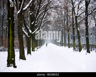 Coperta di neve di parco in parco Tiergarten di Berlino in inverno 2010 Foto Stock