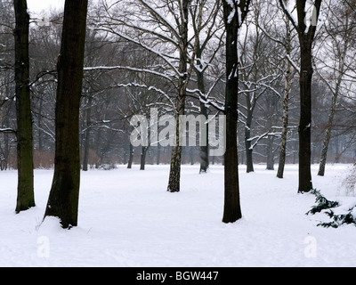 Coperta di neve di parco in parco Tiergarten di Berlino in inverno 2010 Foto Stock