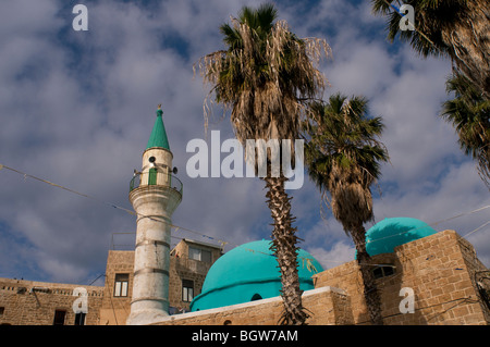 Vista di Sinan Basha anche Al Bahr moschea nella città vecchia di Akko o acri nel nord di Israele Foto Stock