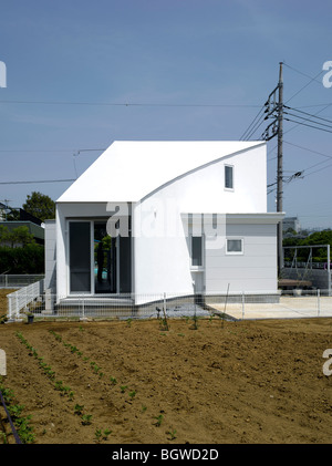 La ramificazione di corallo, Yokohama, Giappone, ATELIER TEKUTO Foto Stock