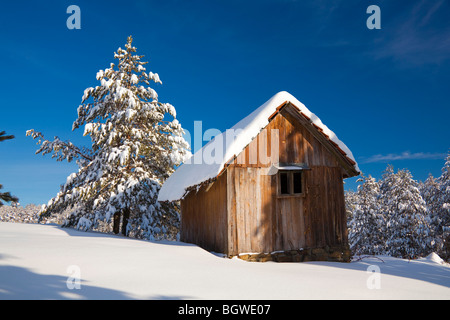 Piccolo giallo montagna casa in legno nella neve Foto Stock