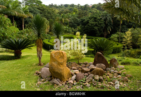 Splendidi giardini nel famoso Jardin Botanico in Sarchi Norte Costa Rica in America centrale Foto Stock