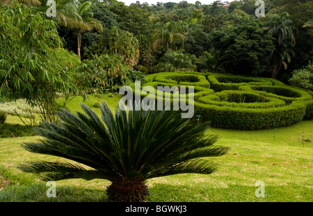 Splendidi giardini nel famoso Jardin Botanico in Sarchi Norte Costa Rica in America centrale Foto Stock