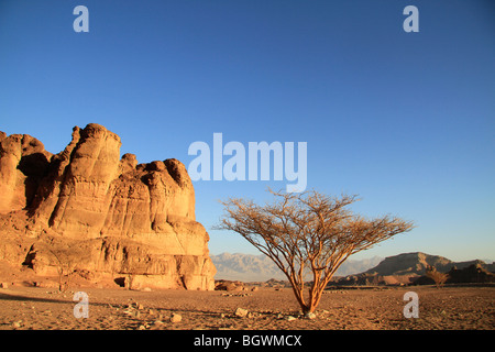 Israele, Eilat montagne, una vista nella valle di Timna Foto Stock