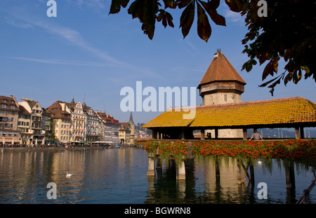 Famoso Ponte Kapelbrucke chiamato Ponte della Cappella con cigni presso il lago di Lucerna Svizzera Luzern Foto Stock