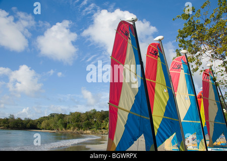 Barche a vela sulla spiaggia all'Almond Bay Resort; Santa Lucia, le isole Windward, Caraibi Foto Stock