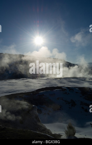 Vapore sorge la terrazza principale per un drammatico inverno sunrise-Mammoth Hot Springs Foto Stock