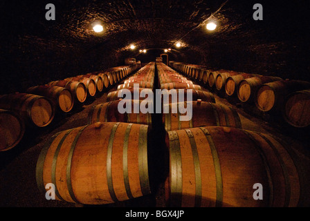 BEAUNE, Francia: Una grotta di vini a Beaune, situata nel cuore della regione vinicola della Borgogna. La grotta, con i suoi soffitti ad arco in pietra e l'illuminazione soffusa, conserva un'ampia collezione di vini pregiati. I visitatori possono esplorare la cantina e assaggiare alcuni dei rinomati vini della regione. NB: Questa immagine presenta disturbi dovuti alle condizioni di scarsa illuminazione. Foto Stock