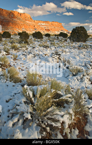 Neve sulle scogliere di Vermiglio in Arizona Foto Stock