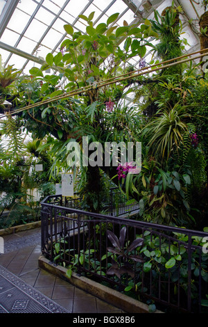 Il Conservatorio di fiori è una serra botanico situato in Golden Gate Park - SAN FRANCISCO, CALIFORNIA Foto Stock