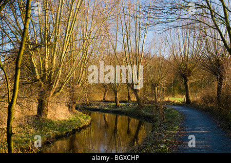 Niers a Wachtendonk Foto Stock