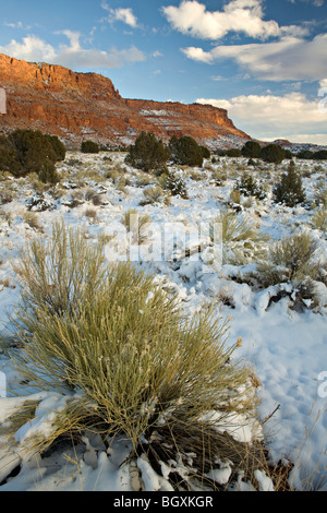 Neve sulle scogliere di Vermiglio in Arizona Foto Stock