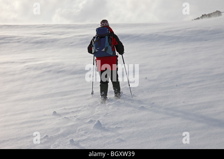 Camminatore di montagna incontrano gravi terra tempesta di neve causato da forti venti in inverno Pennines Teesdale superiore della Contea di Durham Foto Stock