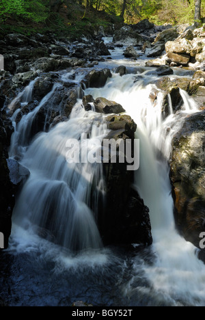 Nero Linn cascata sul fiume Braan presso l'eremo vicino a Dunkeld in Perthshire Scozia Scotland Foto Stock