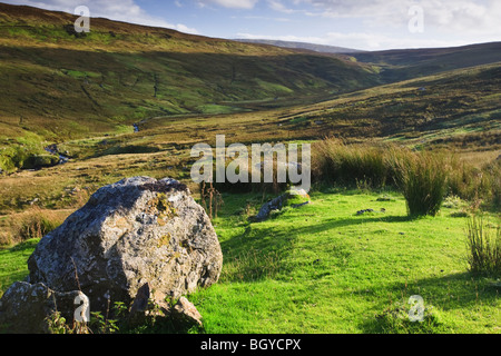 Guardando verso sud-ovest verso il basso Glenaan verso Eshery, County Antrim, Irlanda del Nord Foto Stock