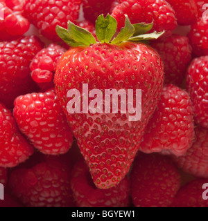 Fragola sulla parte superiore della pila di lamponi Foto Stock