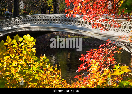 Ponte pedonale Foto Stock