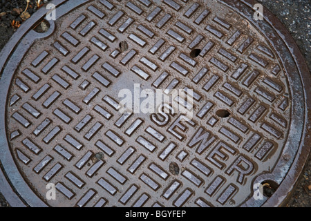 Coperchio della fogna Foto Stock