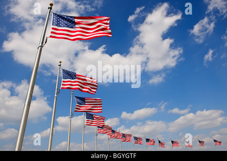 Bandiere americane Foto Stock