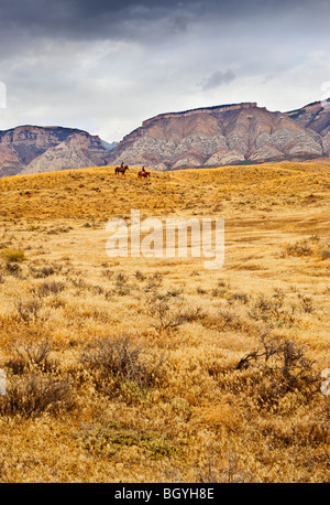 Passeggiate a cavallo Foto Stock