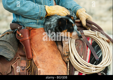 Cowboy e cane a cavallo Foto Stock