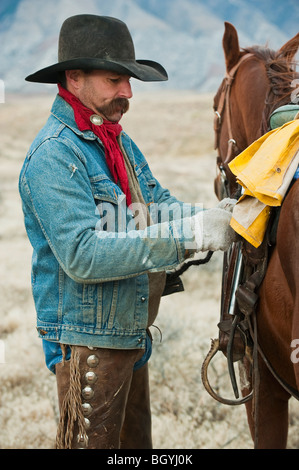 L'uomo la regolazione sella sul cavallo Foto Stock