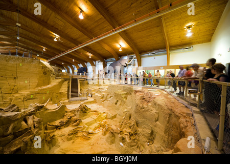 Il Mammoth Site Museum, Hot Springs SD. I visitatori che desiderano nel bonebed con ossa di mammut zanne fossili in paleontologia dig. Foto Stock