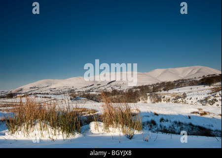 Howgills orientale visto da sopra York vicino Garsdale Foto Stock