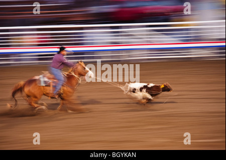 Vitello che roping Foto Stock