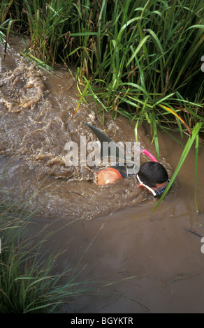 Mondo Bog Snorkelling campionati Llanwrtyd Wells Galles Gran Bretagna Foto Stock