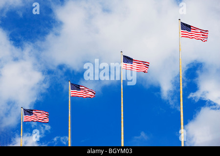 Bandiere americane Foto Stock