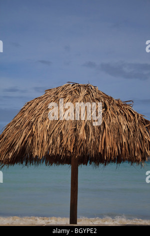 Con il tetto di paglia di erba ombrellone sulla spiaggia di Aruba Foto Stock