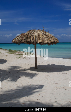 Erba palapa con tetto di paglia di ombrellone sulla spiaggia di Aruba Foto Stock