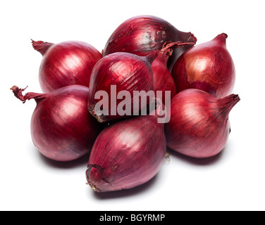 Cipolle Foto Stock