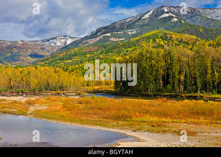 Elk River e il Monte Broadwood conservazione del patrimonio Area, East Kootenay, British Columbia, Canada. Foto Stock