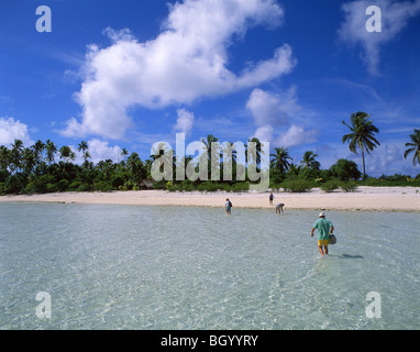 Spiaggia tropicale, atollo di Aitutaki, Isole Cook Foto Stock