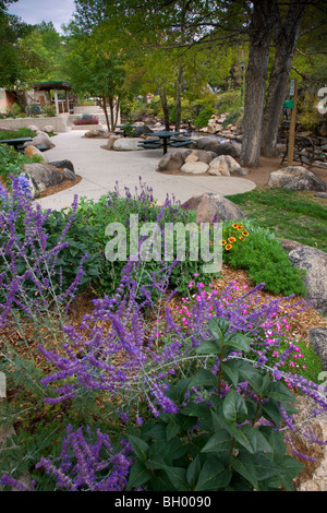 Parco Tregent, Estes Park, gateway di Rocky Mountain National Park, Colorado. Foto Stock