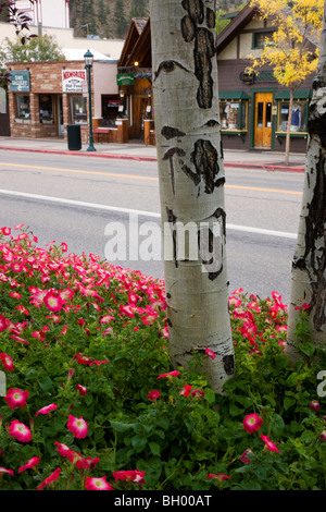 Estes Park, gateway di Rocky Mountain National Park, Colorado. Foto Stock