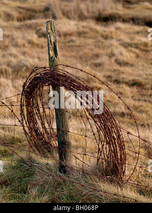 Il vecchio rotolo di rusty il filo spinato contro un vecchio post. Foto Stock