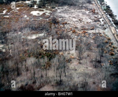 La foto mostra il deterioramento della vegetazione, probabilmente causato da un agente Orange r una simile defoliante usato in Vietnam Foto Stock