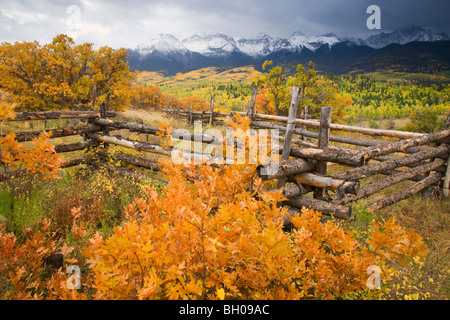 I colori autunnali e la gamma Sneffels, San Juan Mountains, Colorado. Foto Stock