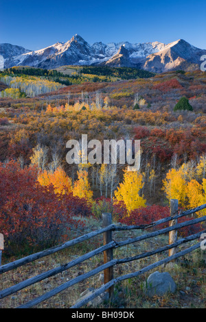 I colori autunnali e la gamma Sneffels, San Juan Mountains, Dallas dividere, Colorado. Foto Stock