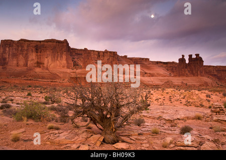 I tre pettegolezzi nella Courthouse Towers area, Arches National Park, Moab, Utah. Foto Stock