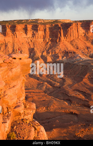 Un visitatore gode della vista dal fiume Verde si affacciano, Island in the Sky District, il Parco Nazionale di Canyonlands, vicino a Moab, Utah. Foto Stock