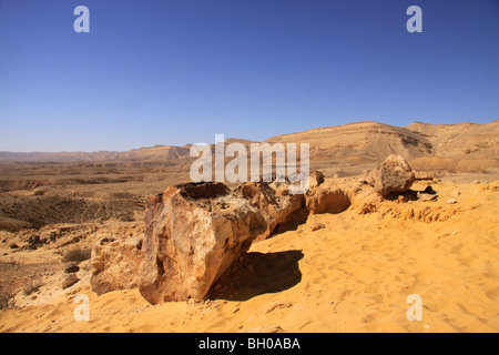 Israele, del Negev, pietrificato di alberi in un grande cratere Foto Stock