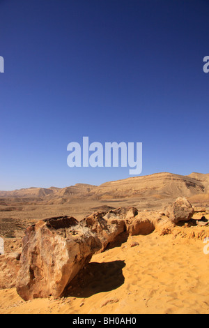 Israele, del Negev, pietrificato di alberi in un grande cratere Foto Stock