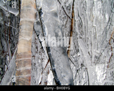 Condizioni meteorologiche estreme - inverno - brina e gelo vetrato Foto Stock